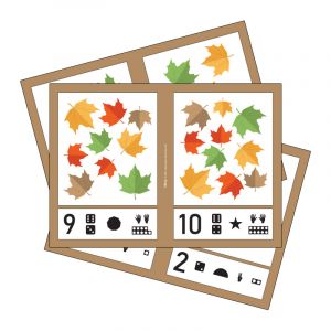 Large Autumn Leaves Maths Mastery Cards